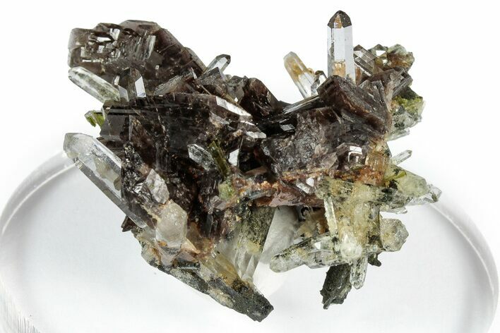 Sharp Axinite Crystal Cluster - Peru #347931